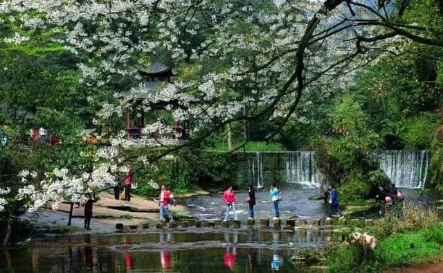 福利到！38日女神节AAAA景区免票耍，女神花环带回家！