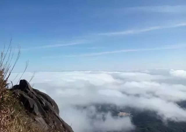 深圳周边6条最美自驾赏秋路线！条条景色逆天最快2h可达，走起！