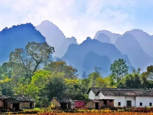 深圳周边6条最美自驾赏秋路线！条条景色逆天最快2h可达，走起！