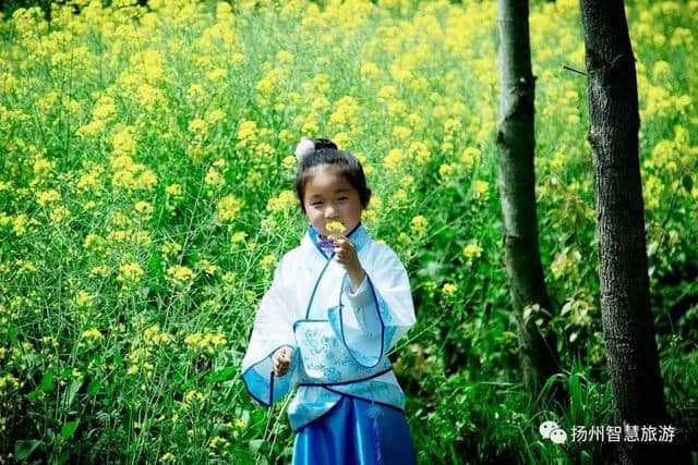 第三届乡村四季旅游节，江都花木大道汉服摄影展示（上）！