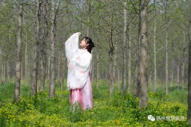 第三届乡村四季旅游节，江都花木大道汉服摄影展示（上）！