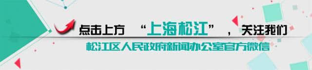 停车攻略丨国庆长假期间，为了方便游玩佘山，你需要一本出行指南