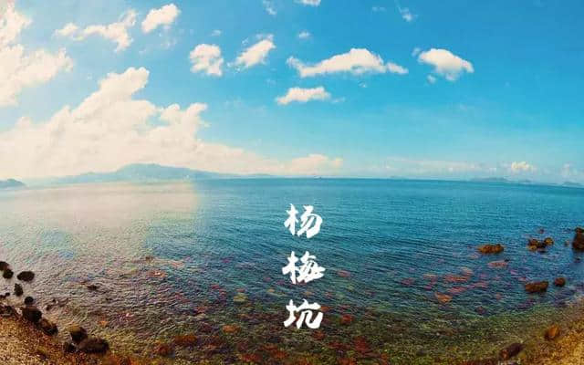 就在家门口！媲美三亚！深圳这个最美溪谷，海水清澈，端午免费去