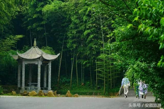 巢湖南岸这块“宝地” 消暑纳凉 赏景散心！