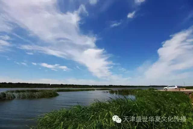 盛夏时节，一起去潮白河赏湿地景观、鉴二十八景！