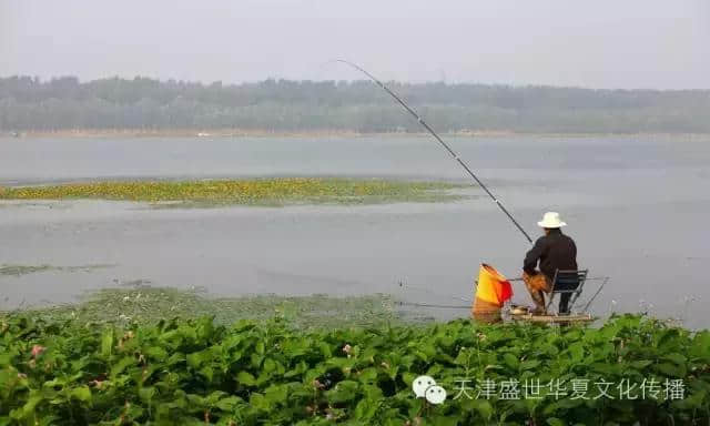 盛夏时节，一起去潮白河赏湿地景观、鉴二十八景！