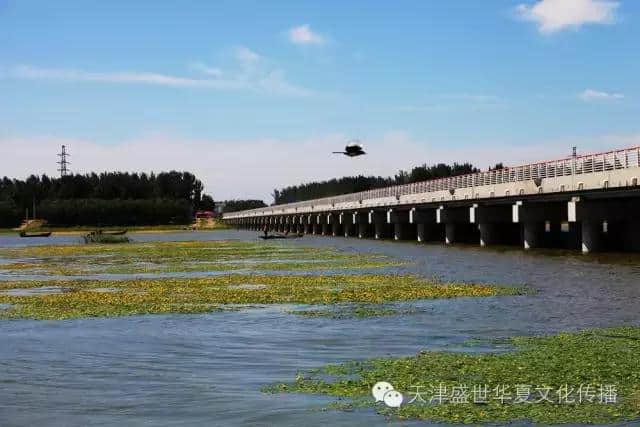 盛夏时节，一起去潮白河赏湿地景观、鉴二十八景！