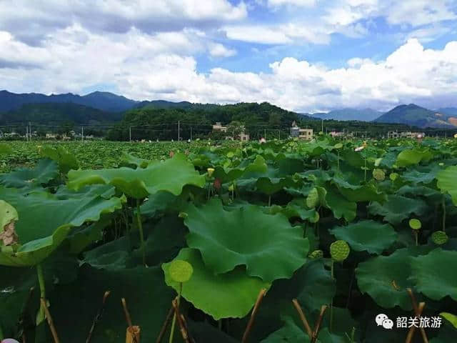 周末要出发！藏在韶关近郊的神秘境地，可惜的是很少人知道！