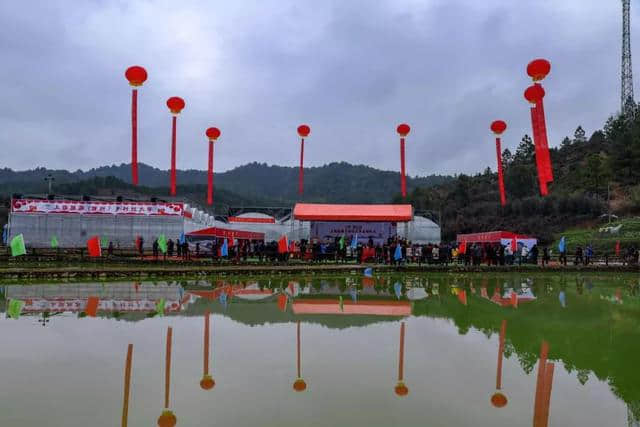 风景最美、年味最浓，上饶旅游乡村过大年红火开启！