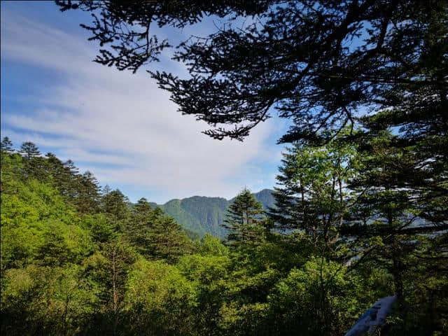 神农架旅游照片