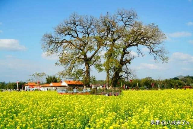 广东韶关新丰县五个值得一去的旅游景点，看看你都去过哪？