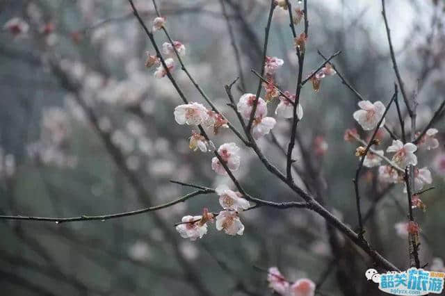 韶关2月最美自驾路线！都是老司机们的天堂，风景美爆了！