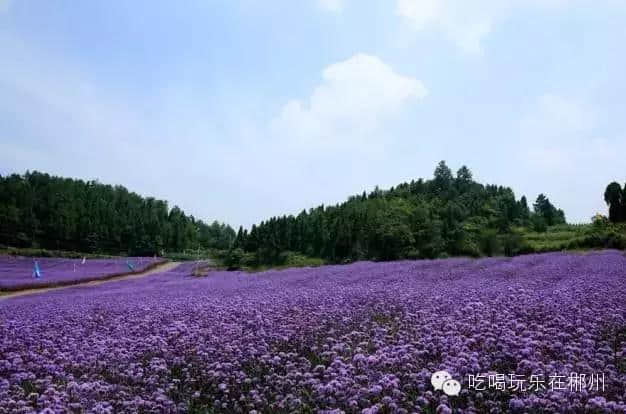 郴州人注意啦!五一根本不用出国旅游，省内这些景点完胜国外