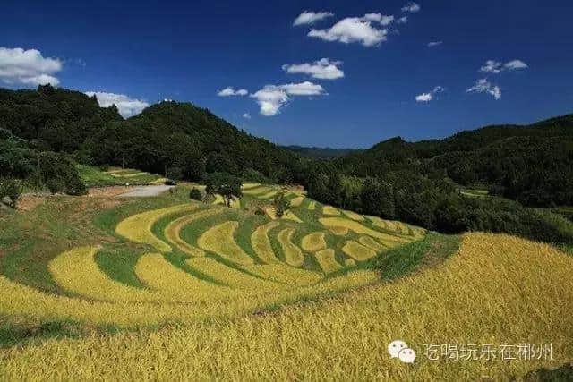 郴州人注意啦!五一根本不用出国旅游，省内这些景点完胜国外