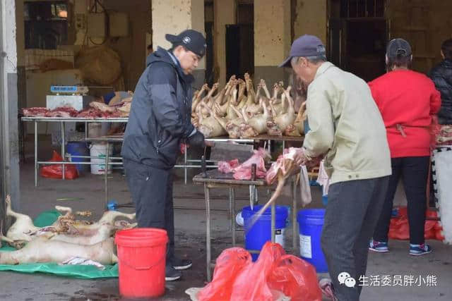 一场独自的旅行-延吉