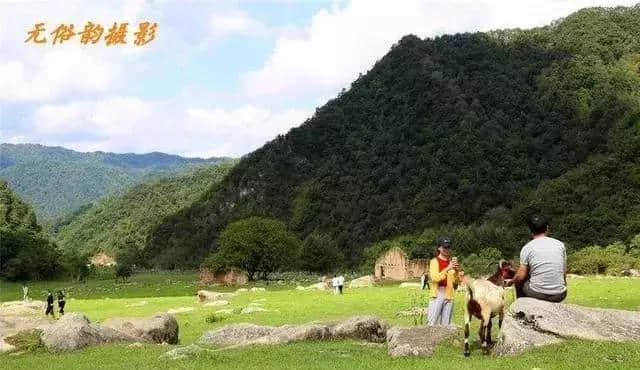 今年汉中最佳旅游景点推荐，留坝狮子沟牧场！