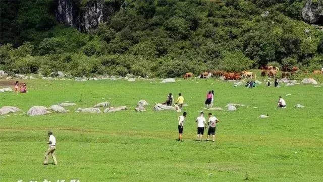 今年汉中最佳旅游景点推荐，留坝狮子沟牧场！