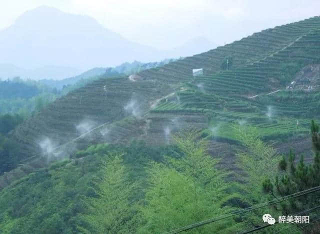 细雨蒙蒙赏朝阳，半山风景半山雾，如梦似幻~