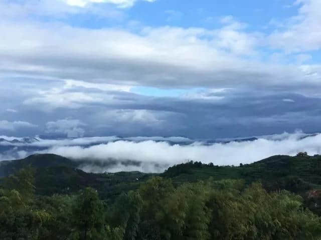 细雨蒙蒙赏朝阳，半山风景半山雾，如梦似幻~