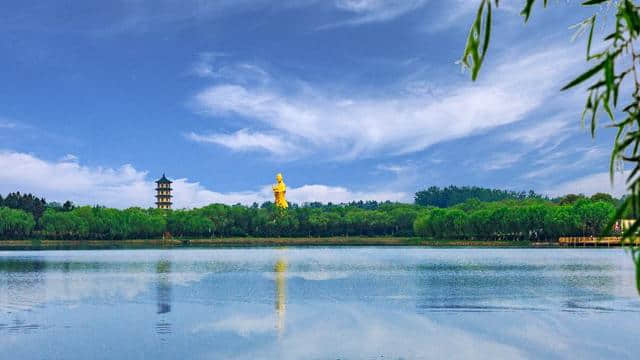 来江苏旅游游什么：东方湿地、鹤鹿故乡，盐城篇