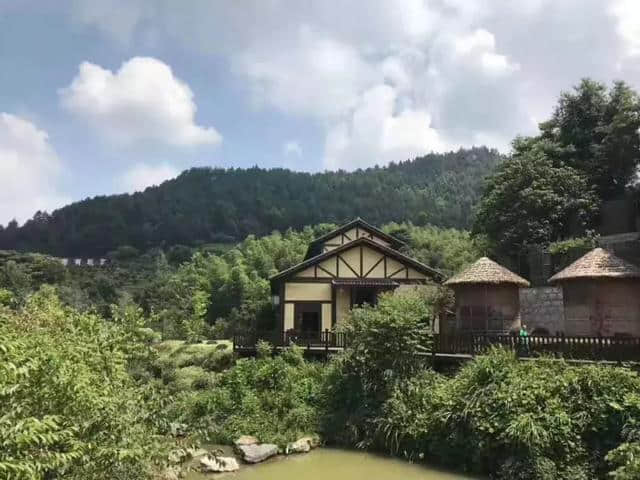 亿固瓷砖胶2019年度旅游｜激情团队，凝心聚力，砥砺前行