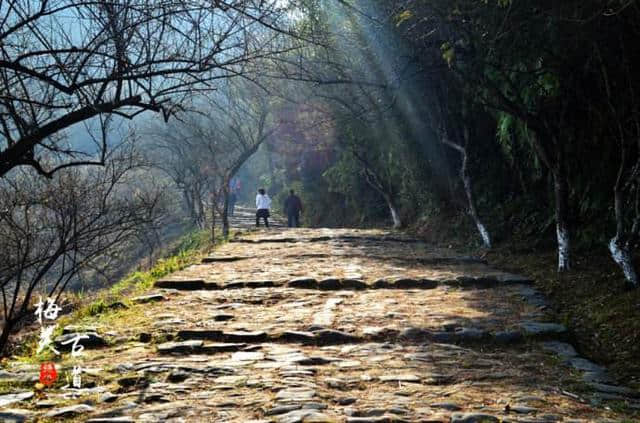 韶关十大旅游景区，去过五个的算合格，全去过的太幸福了！