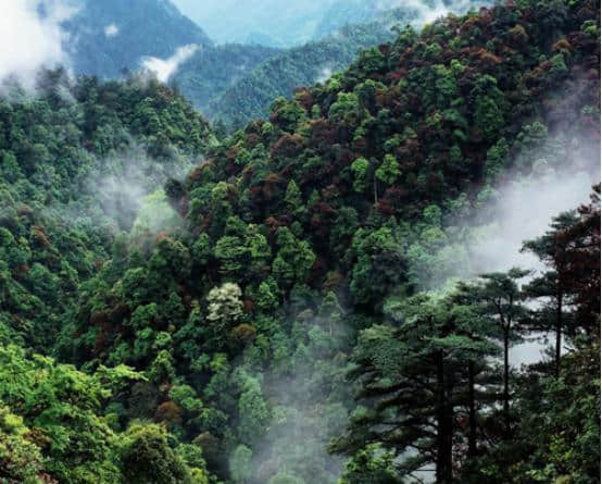 韶关十大旅游景区，去过五个的算合格，全去过的太幸福了！