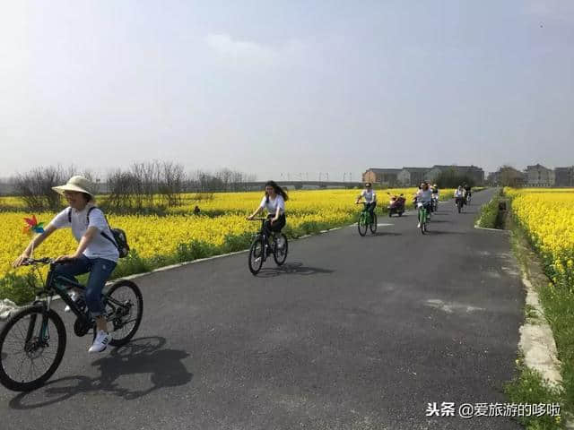 2018最后一个月，去杭州周边最美小城，体验国内少有的高空飞翔