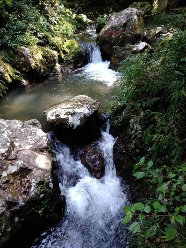 免费！走进韶关这个景区，体验大山深处的 “山水童话”!