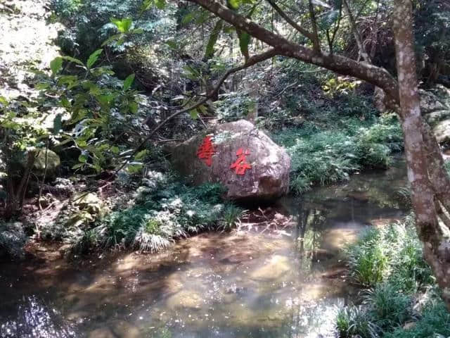 免费！走进韶关这个景区，体验大山深处的 “山水童话”!