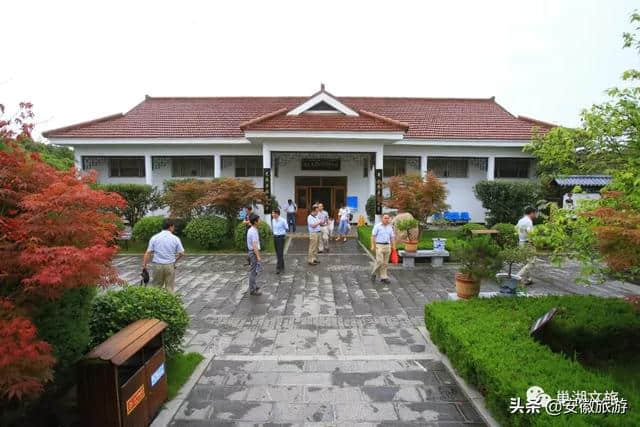 巢湖暑期旅游线路推荐之一——大湖亲水清凉游！