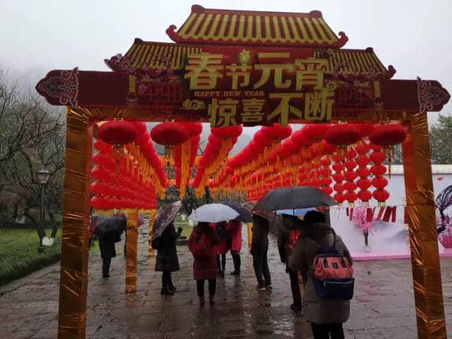 雨҈雨҈҈雨，挡不住雨中梅雪中梅！第11届超山梅花节一直high！黄龙集散中心还有赏梅免费班车！