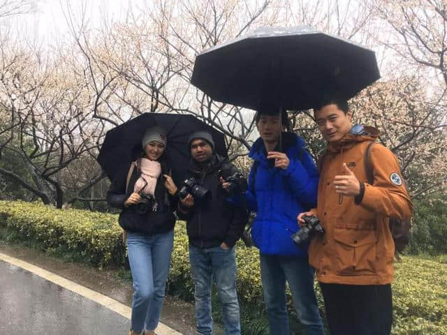 雨҈雨҈҈雨，挡不住雨中梅雪中梅！第11届超山梅花节一直high！黄龙集散中心还有赏梅免费班车！