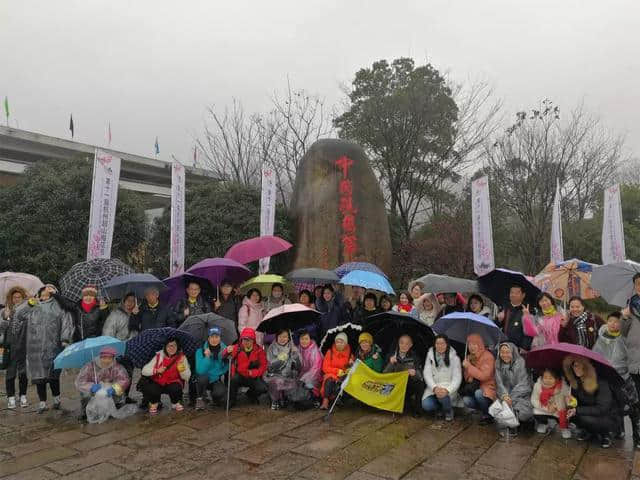 雨҈雨҈҈雨，挡不住雨中梅雪中梅！第11届超山梅花节一直high！黄龙集散中心还有赏梅免费班车！