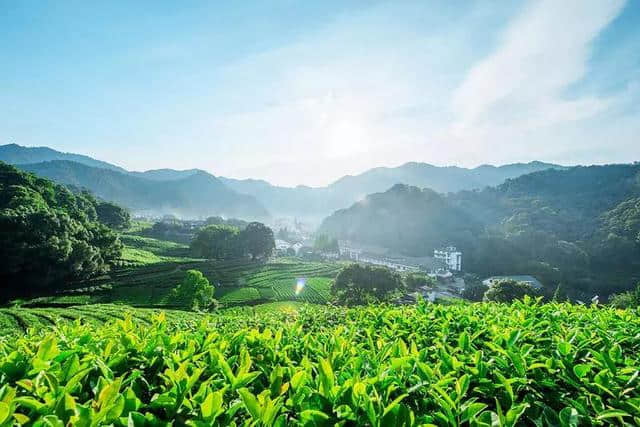 人间四月天 | 4月国内外旅行目的地推荐