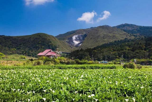 人间四月天 | 4月国内外旅行目的地推荐