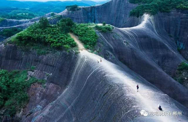 2019年“免费景点大全”来啦！赶紧收藏！