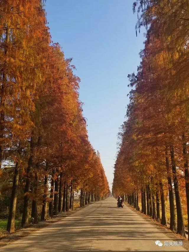 韶关周边原来藏有2处火红秘境，宛如陆上喀纳斯，此时美得正当时！