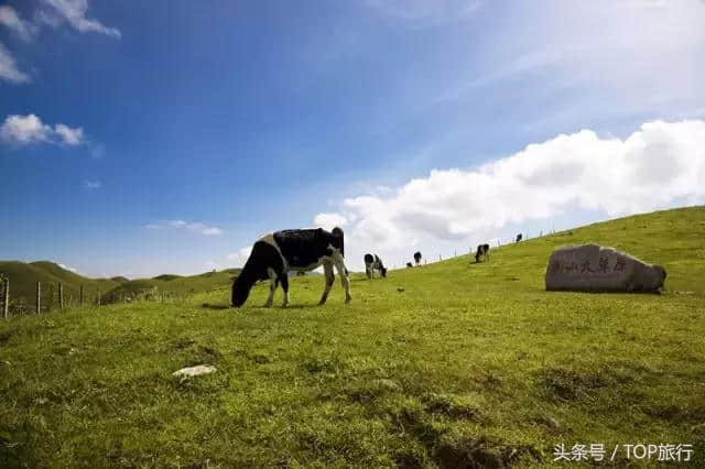 美翻了！邵阳十佳精品旅游线路新鲜出炉，有你熟悉的么