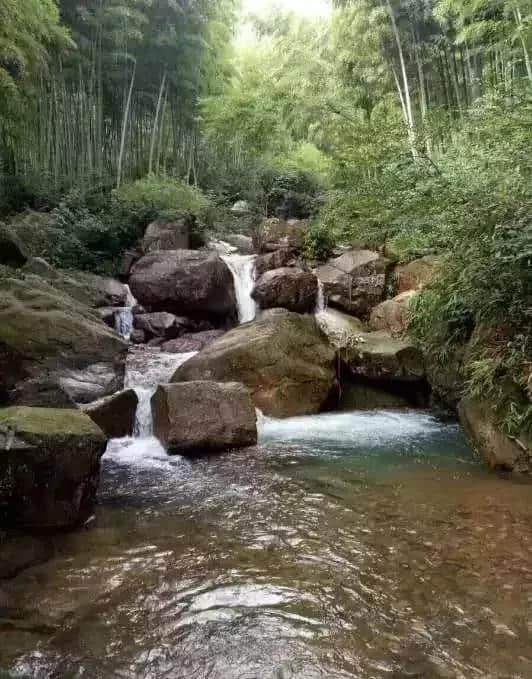 绿水清山，环境优美！余杭这个小镇，了解一下？