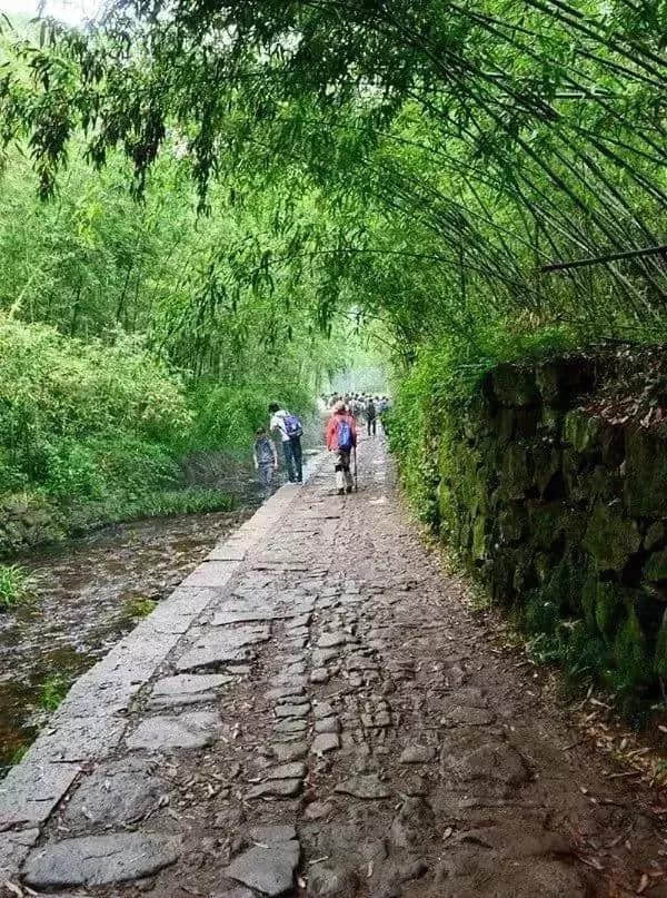 绿水清山，环境优美！余杭这个小镇，了解一下？