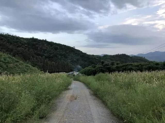 绿水清山，环境优美！余杭这个小镇，了解一下？