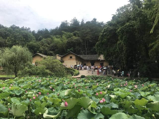 韶山就只有红色旅游景点吗？你错了，它还有这个！