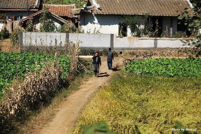 最真实的朝鲜乡村原来是这样，绿水青山房屋整洁