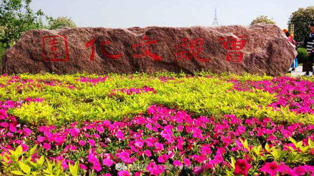 鄢陵花事，一花一草总关情