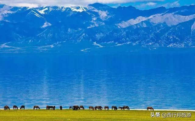 自驾新疆，新疆旅游地图+旅游线路大全！自驾的你，必不可缺