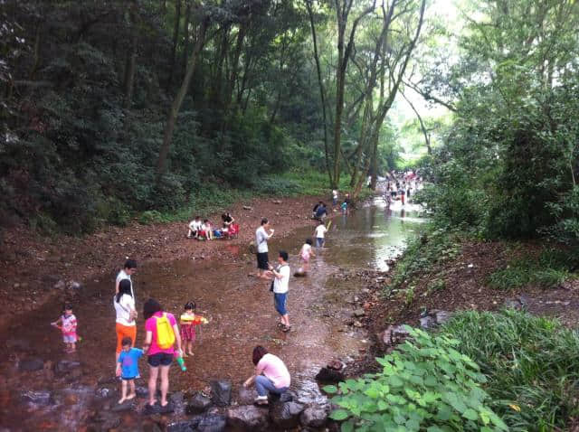 杭州旅游攻略（二十九）九溪，带你感受夏日的清凉