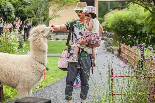 杭州旅游攻略（二十九）九溪，带你感受夏日的清凉