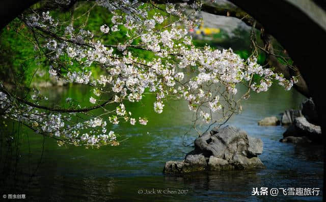 杭州小众旅行攻略，盘点杭州春季踏青赏花好去处