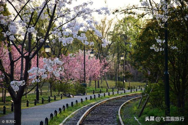 杭州小众旅行攻略，盘点杭州春季踏青赏花好去处